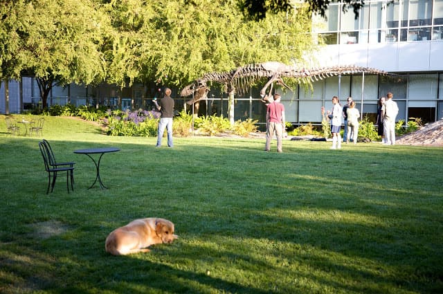 Googleplex