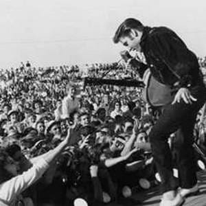 elvis presley - les dbuts