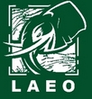 LAEO