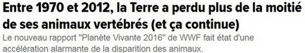 Rapport WWF