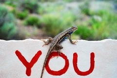 you